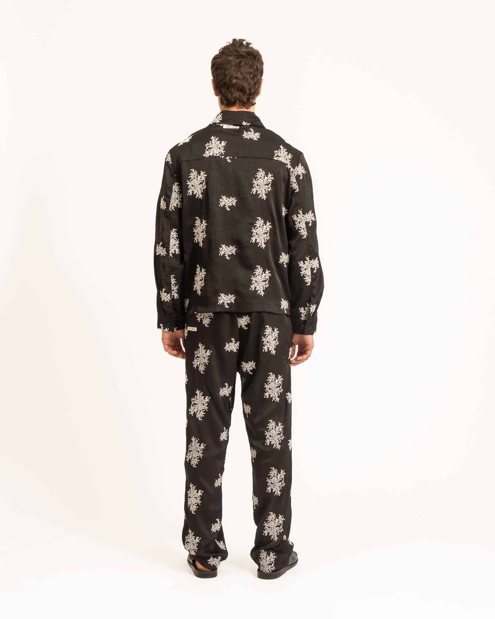 Theo Pants – תמונה 3